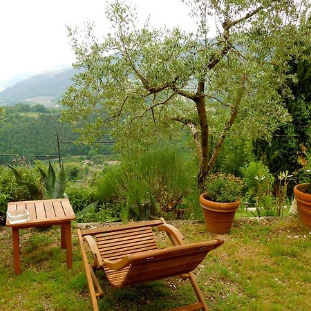 Guesthouse Runcini Ferentillo Екстериор снимка