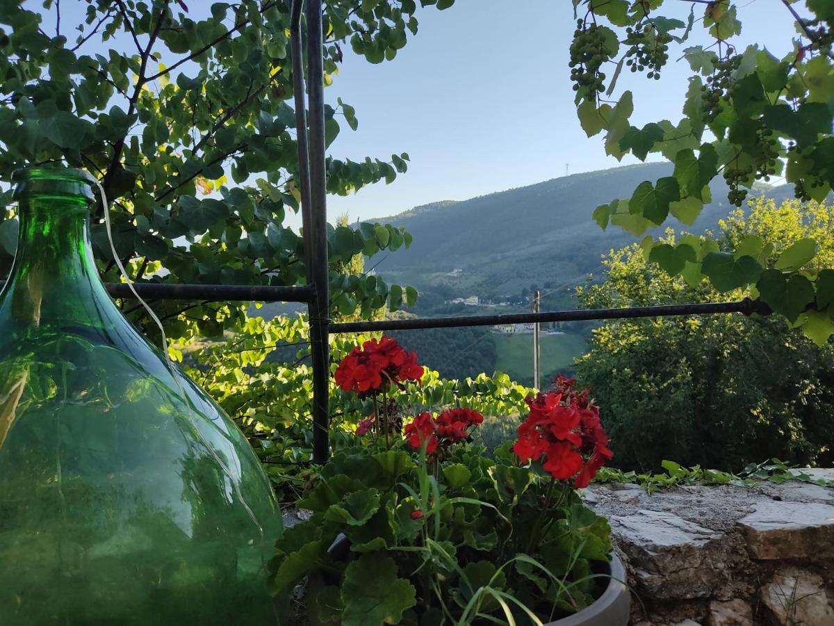 Guesthouse Runcini Ferentillo Екстериор снимка