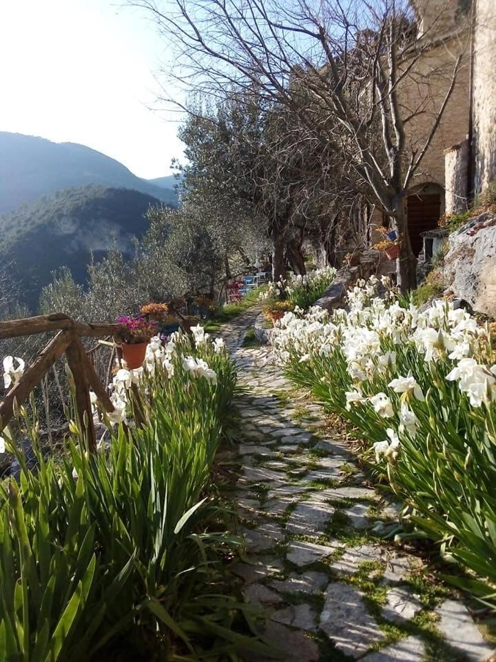 Guesthouse Runcini Ferentillo Екстериор снимка